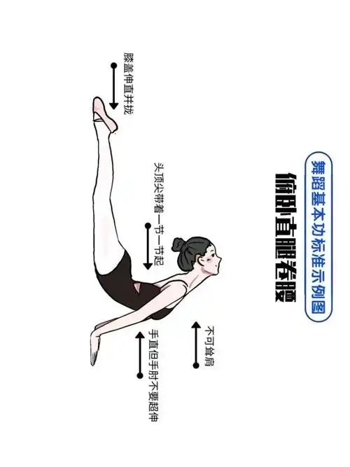 舞蹈基本功事例