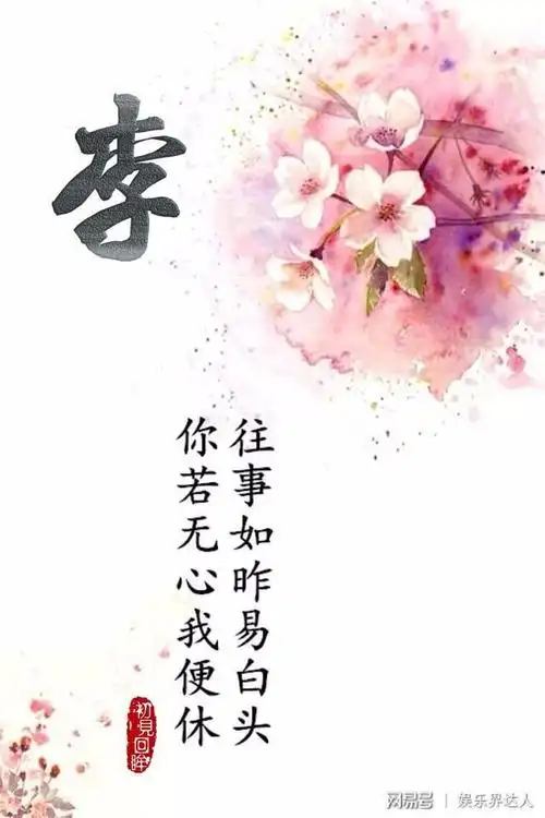 微信头像壁纸百家姓李姓专辑我姓李你在我心里