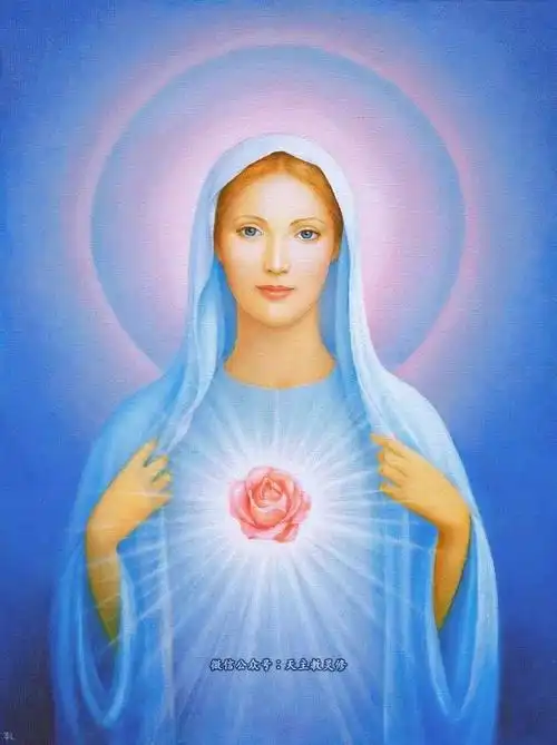 图文【圣母圣心】美丽圣心活水泉|6月09日|11张高清圣心圣像_网易订阅