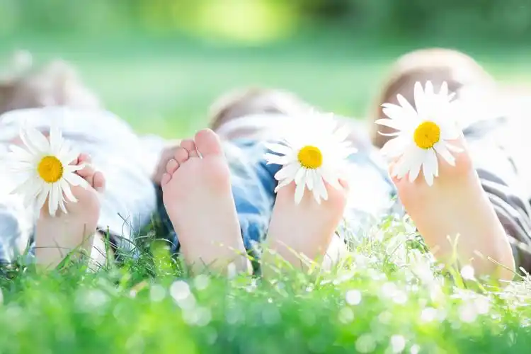 趴在草地上的脚丫