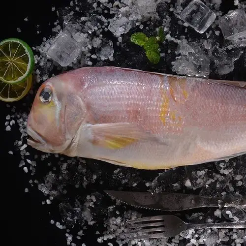 马头深海海钓新鲜斧头方头鱼鲜活冰鲜海鱼冷冻其它