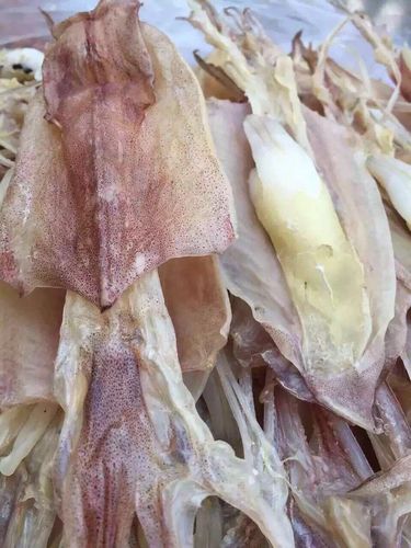 鱿鱼东山岛母干带卵干籽生晒野生母孕产妇海鲜干货鱿鱼干