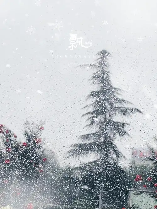 每日一图# 六月飞雪 - 大米小姐981 - 图虫