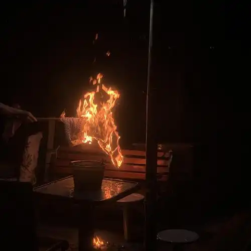 请观看大型飞蛾扑火害怕飞虫者慎入