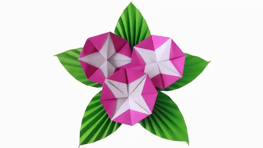 手工折纸简单又漂亮的牵牛花牵牛花折纸教程