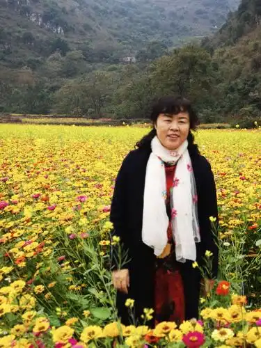 五十岁的女人如诗如画