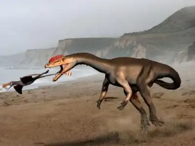 试听90秒恐龙百科——里奥哈龙和理理恩龙