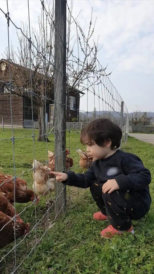 图源自朴建厚超话