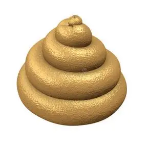 大便苍蝇的屎3d屎恶心的大便照片