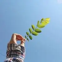 带来好运头像图片【点击鼠标右键下载】