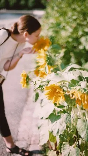 小清新 欧美风 iphone5壁纸