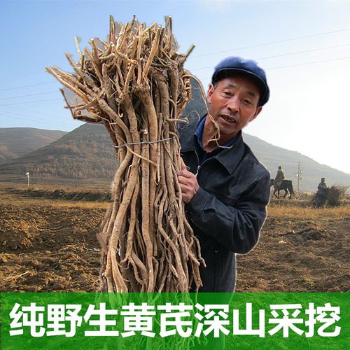 纯野生黄芪深山采挖北芪片500克甘肃岷县中药材天然特级粗大片