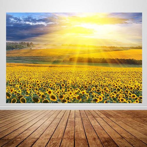 蓝天白云阳光田园风景画向日葵薰衣草唯美花海报卧室装饰画j51