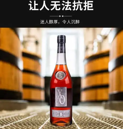 欢庆时光 礼盒装 xo白兰地40度洋酒 拉麦龙 700ml 2瓶 聚会送礼 霍尼