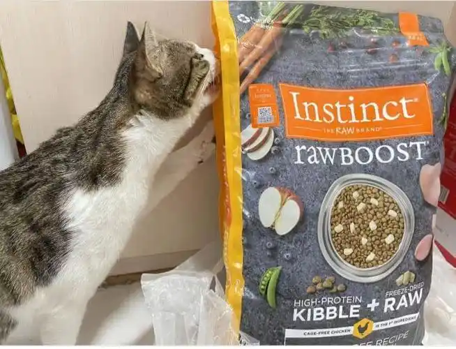 top进口猫粮推荐:进口猫粮哪里买?进口猫粮品牌推荐 - 知乎