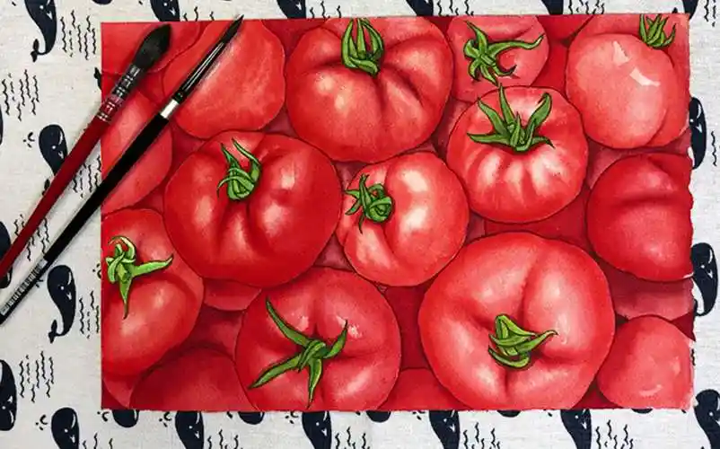 手绘水彩画西红柿mg管装颜料绘制