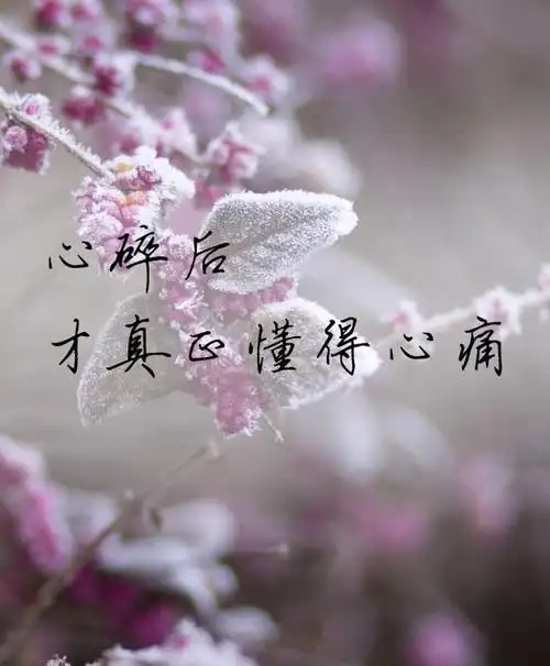 给尽一个人全部温柔 却最终只能以陌生人的身份 去擦肩,去偷望 去苦吟