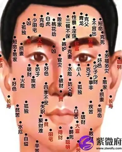 男人面相算命分析