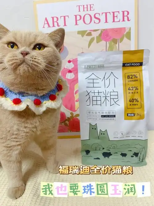营养丰富的平价猫粮推荐成猫幼猫通用