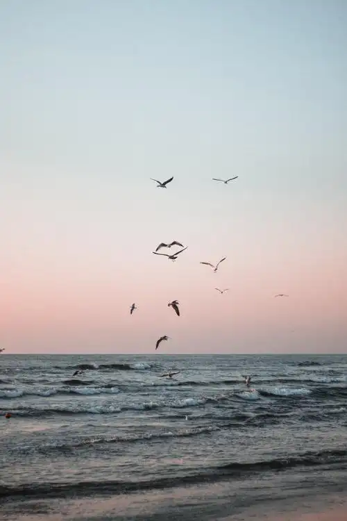 大海意境唯美风景图片,高清图片