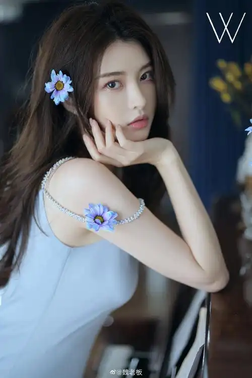 03你以为飞鸟 不知疲倦 只往前飞@梦娜mamona