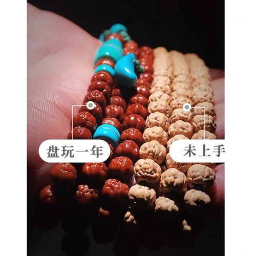 帝阳国际纯印尼佛手菩提无染色无修自然精选矮原桩