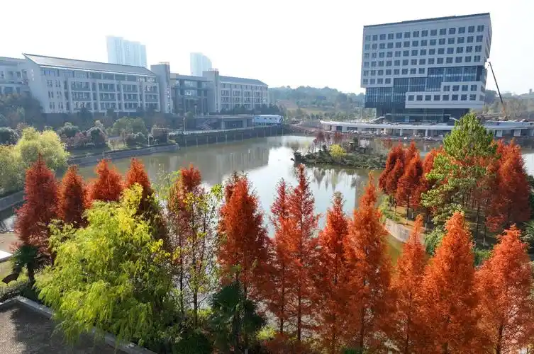 冬日的南华大学校园色彩斑斓,大美如画.通讯员 曹正平 摄