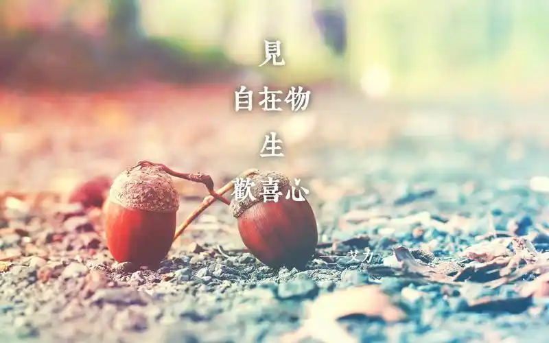 奇葩说经典心灵鸡汤文字图片壁纸 第一辑