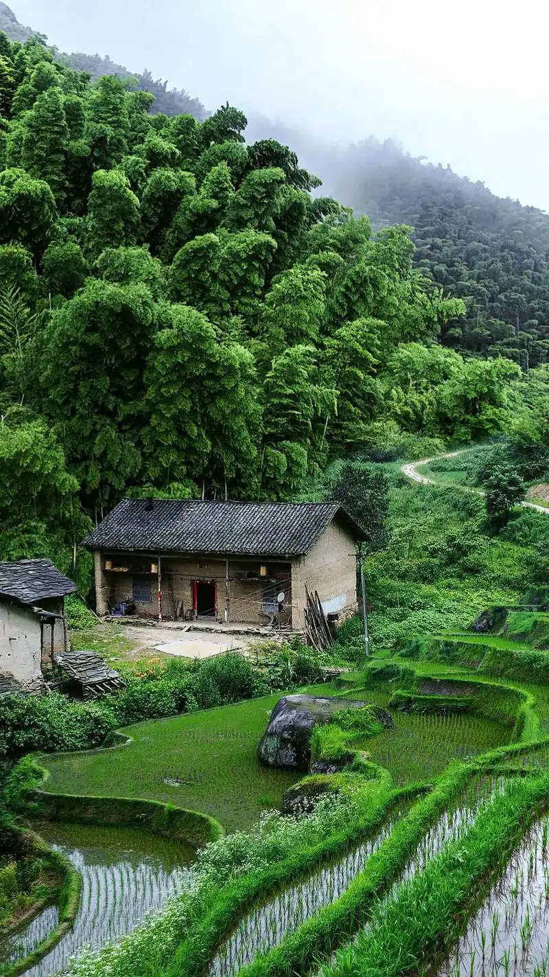 待我了无牵挂,从此归隐天涯,深山老屋为家,远离都市繁华,忙时 - 抖音