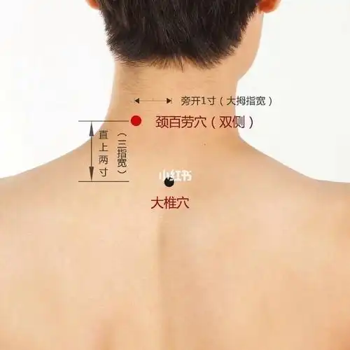 艾灸熏艾的功效与作用_艾灸涌泉的功效和作用_艾灸肩颈的作用和功效