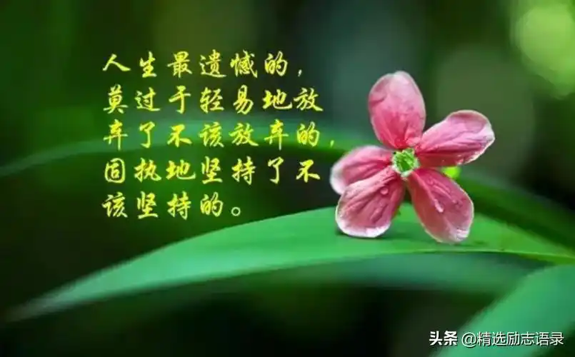 感悟人生的哲理短句,句句写到心坎上,让人顿悟