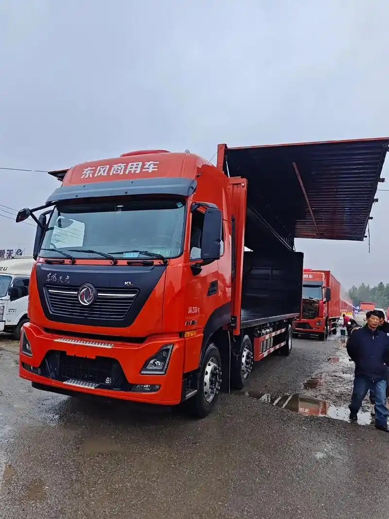 刚刚到家2辆21年12月东风天龙9米6后四飞翼,大保险到明年 - 抖音