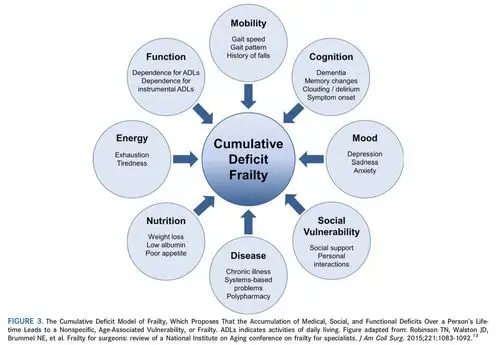 the cumulative deficit frailty model