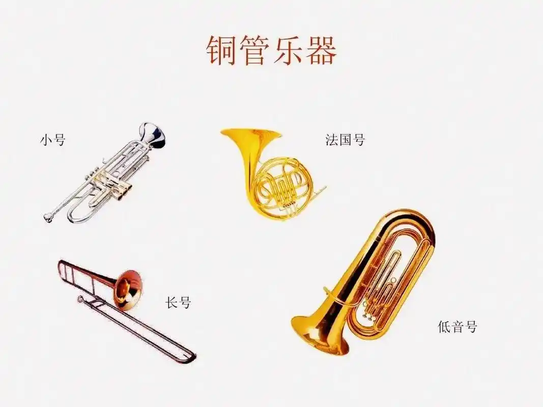 西洋乐器名称简介:铜管乐器 铜管乐器(the brass family) 以金属製成