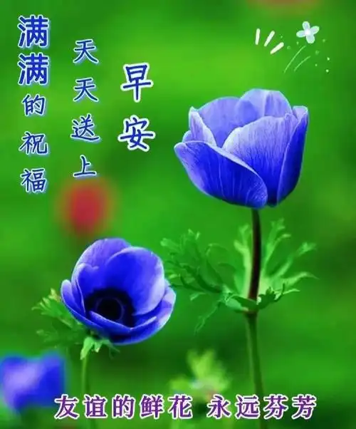 早安图片,暖心的早安问候图片祝福语,早上好问候语温馨句子