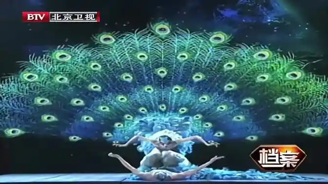 杨丽萍在春晚舞台上的《雀之灵》,极致的舞蹈美感,令人至今难忘-影视