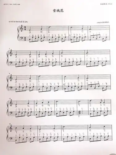 雪绒花·简版