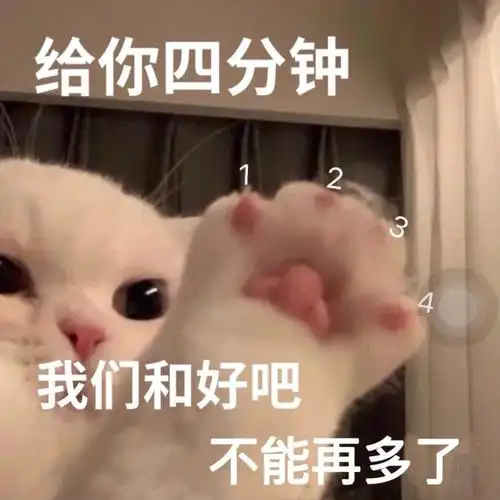 给你四分钟我们和好吧不能再多了-猫咪情侣聊天表情包