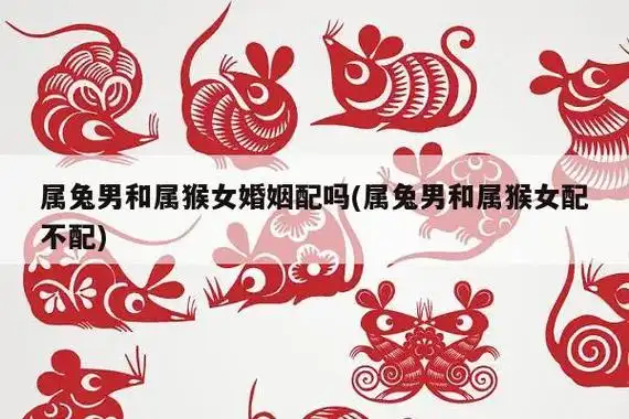 属兔男和属猴女合适吗