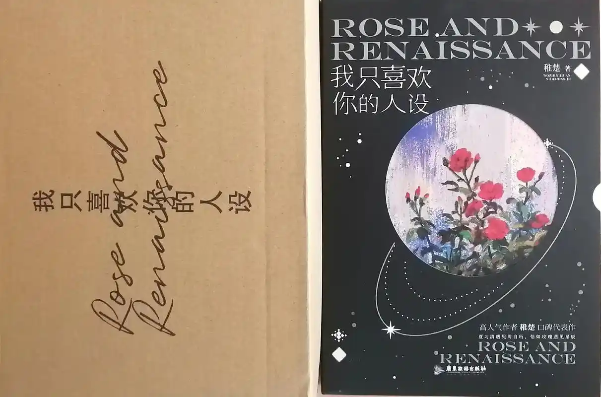 我只喜欢你的人设 #稚楚作品 #实体书 #新视角图书 新视 - 抖音