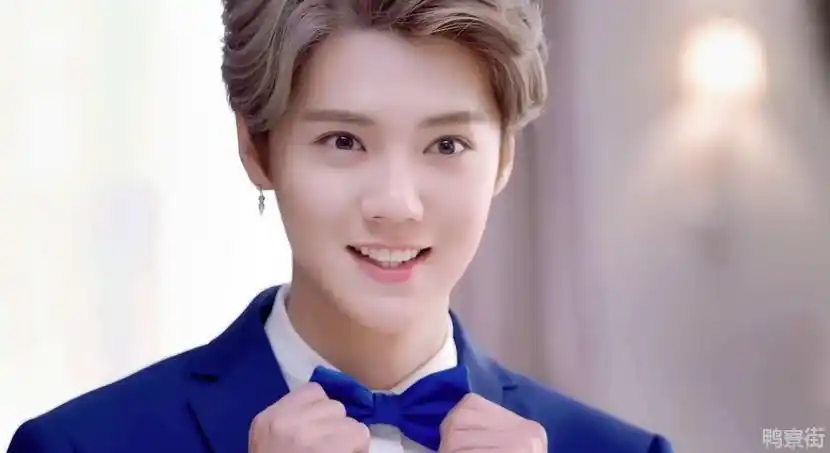 的妈妈是谁,外界并不得知,网传鹿晗爸爸叫徐计耀,鹿晗妈妈叫翁文凤,但