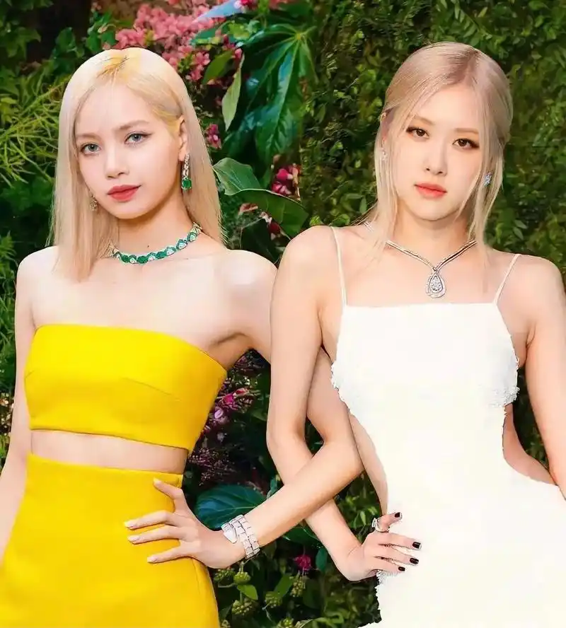 blackpink #五花肉cp #rosé #lisa  - 抖音