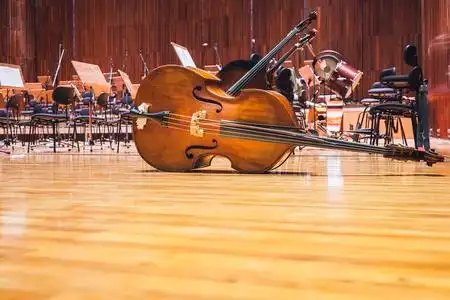 交响乐大厅图片