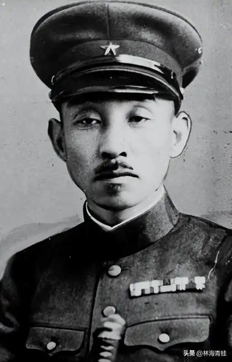 一般是指陆军大佐或中佐军衔,助川静二在台湾先后经历了寺内寿