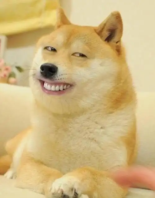 你见过什么看一遍就忍不住笑的图片