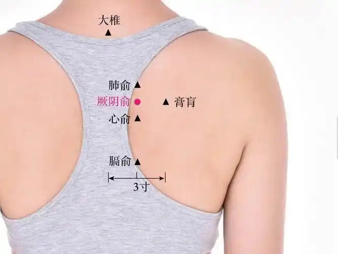 大椎穴位位置图