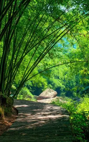 美景如画-堆糖,美好生活研究所