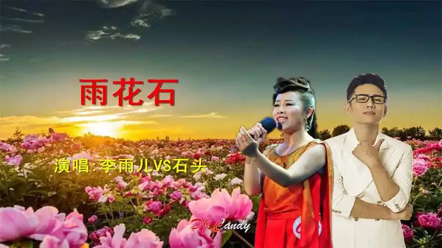 雨花石 dj舞曲 李雨儿vs石头(dj candy版)