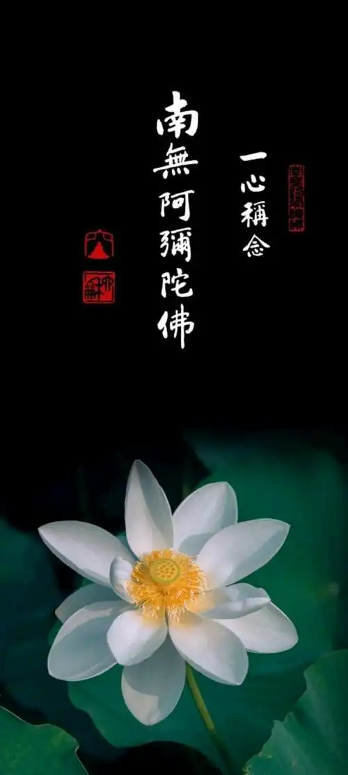 壁纸|佛系壁纸而已