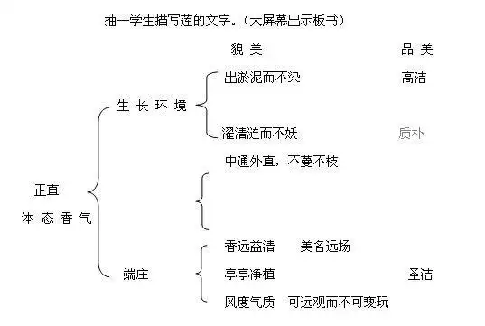 短文两篇《爱莲说》教案设计